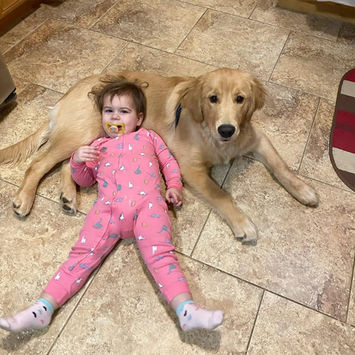 Cash lying on the kitchen floor next to the baby of the family